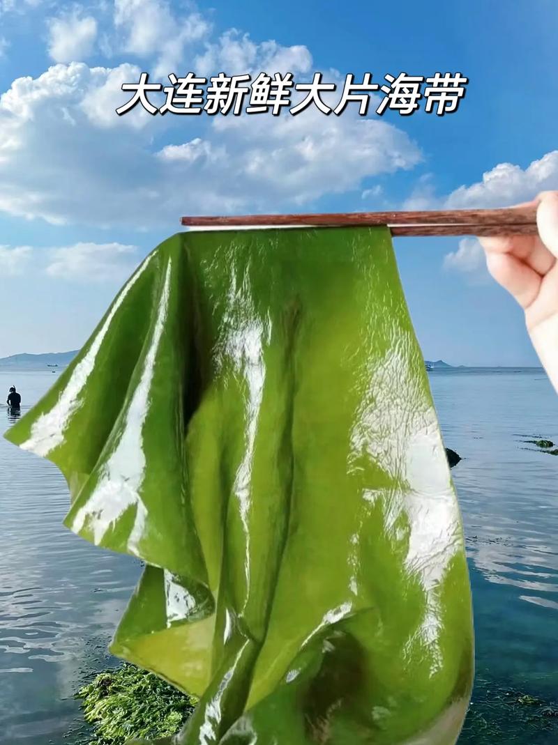 大连甲肝疫情，大连病情-第6张图片