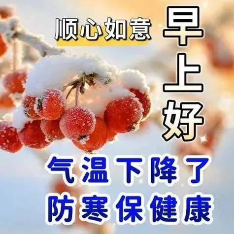 微信天气预报和限号-微信明天天气