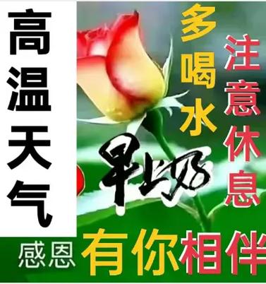微信天气预报和限号-微信明天天气-第4张图片 微信天气预报和限号-微信明天天气-第4张图片