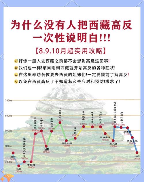拉萨限号，拉萨车辆限行