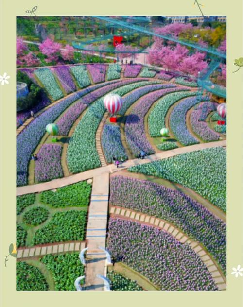 六月限号-6月限号是几和几-第7张图片 六月限号-6月限号是几和几-第7张图片