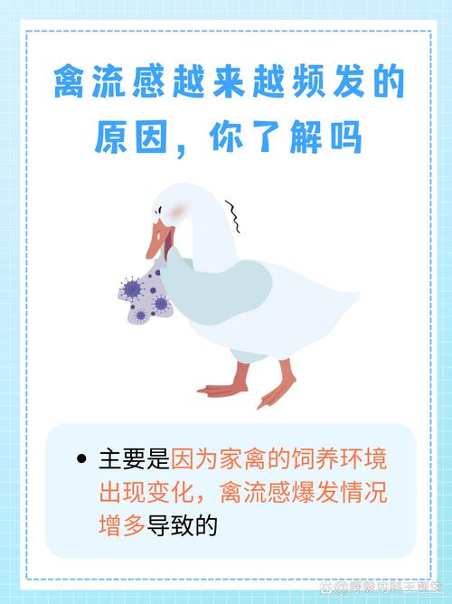 禽流感疫情-禽流感疫情的地区分布-第6张图片 禽流感疫情-禽流感疫情的地区分布-第6张图片