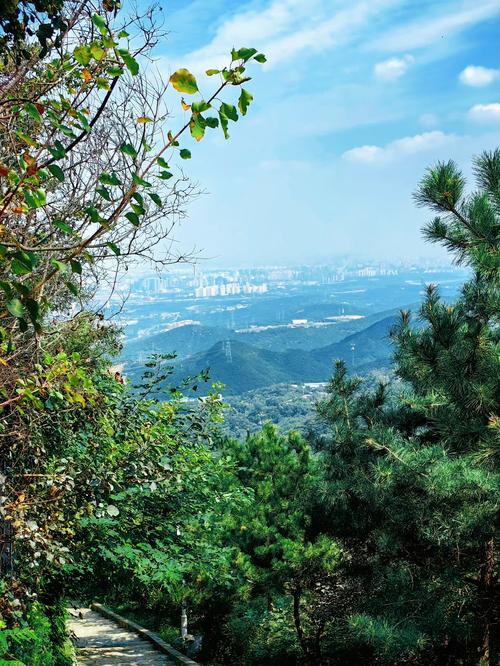 白洋淀限号，白洋淀车辆限行规则-第5张图片