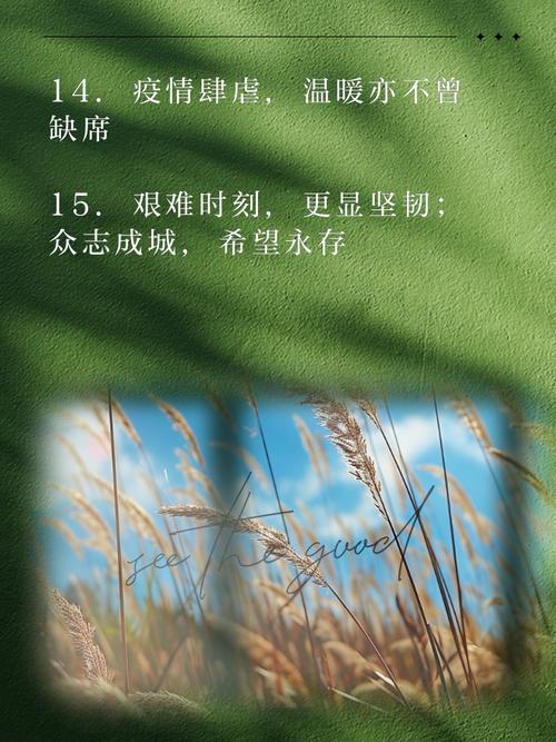 抗疫情的句子正能量(抗疫情的句子正能量文章)-第5张图片 抗疫情的句子正能量(抗疫情的句子正能量文章)-第5张图片