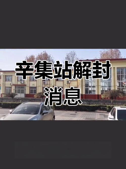 辛集限号查询最新消息(辛集限号查询最新消息电话)