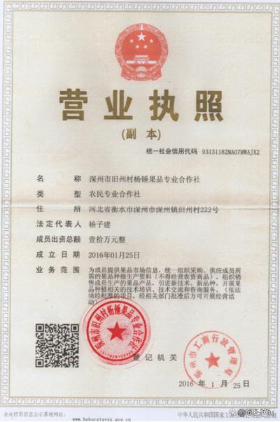 【深州市限号,深州限号查询】-第7张图片