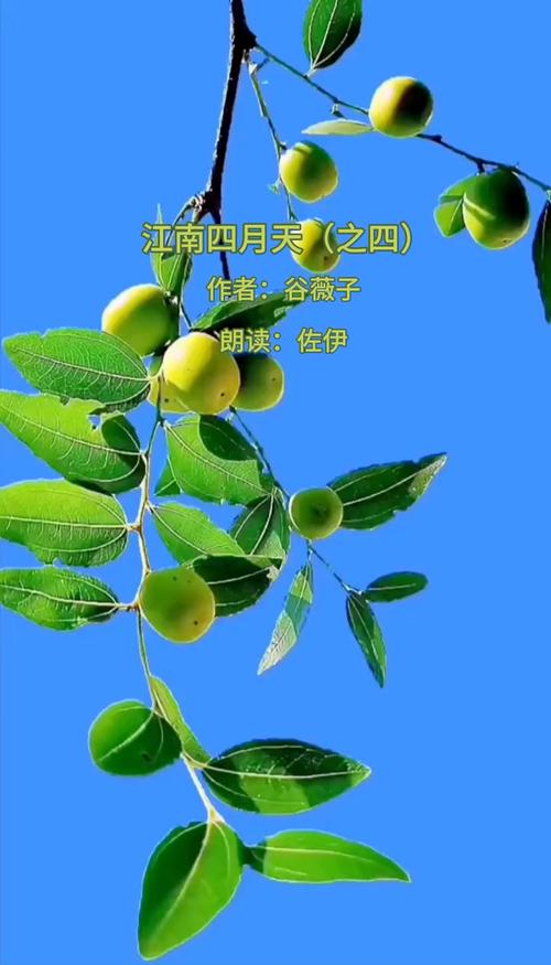 临城限号-临城县限号-第2张图片 临城限号-临城县限号-第2张图片