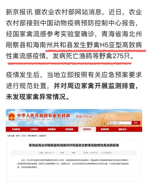 青海疫情(青海疫情期间领导公开手机号)-第4张图片 青海疫情(青海疫情期间领导公开手机号)-第4张图片