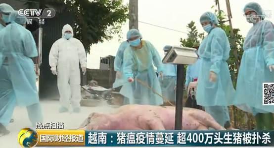 越南疫情，越南疫情实时更新-第5张图片