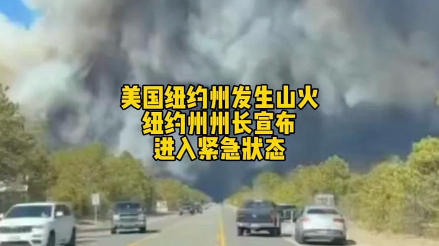 特朗普宣布美国纽约州为疫情重大灾区(特朗普关于美国疫情措施)-第2张图片