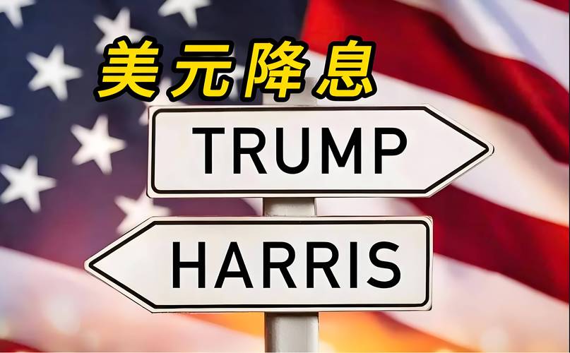 特朗普宣布美国纽约州为疫情重大灾区(特朗普关于美国疫情措施)-第6张图片