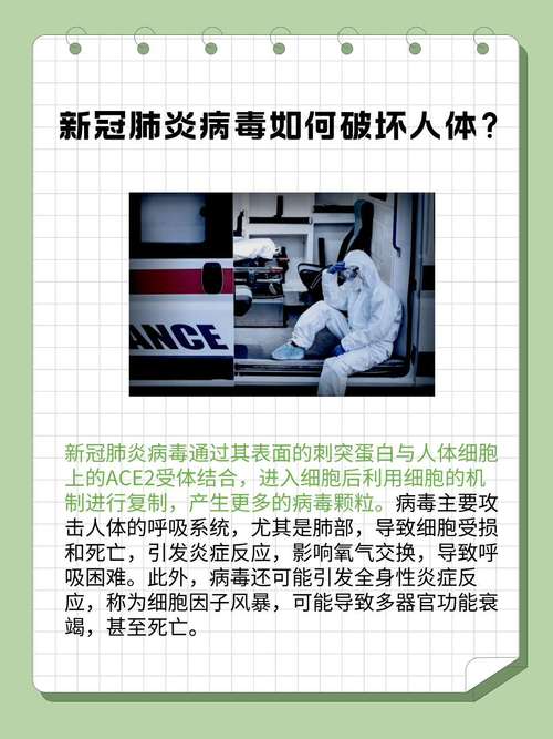 新冠疫情世界/新冠疫情世界死亡人数总数-第2张图片 新冠疫情世界/新冠疫情世界死亡人数总数-第2张图片