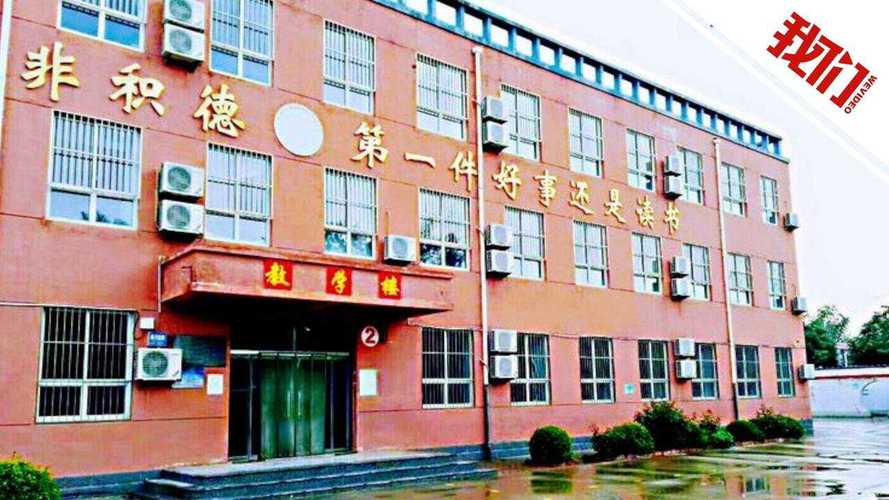 辛集疫情(辛集疫情网)