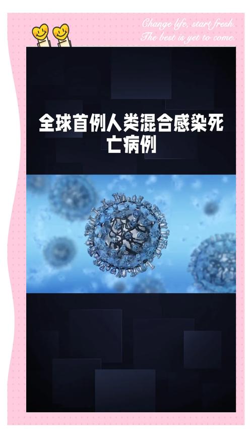 三地疫情同一问题,两地出现疫情-第2张图片 三地疫情同一问题,两地出现疫情-第2张图片