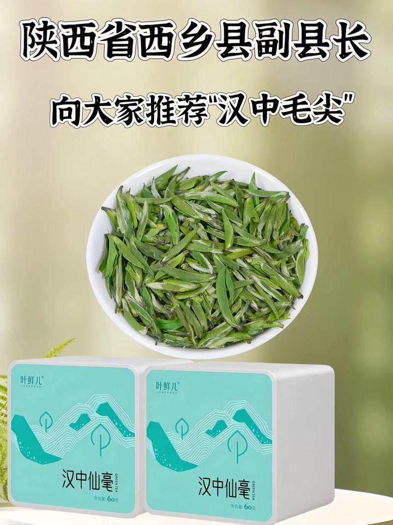 【汉中限号,正东和汉中仙毫】-第7张图片 【汉中限号,正东和汉中仙毫】-第7张图片