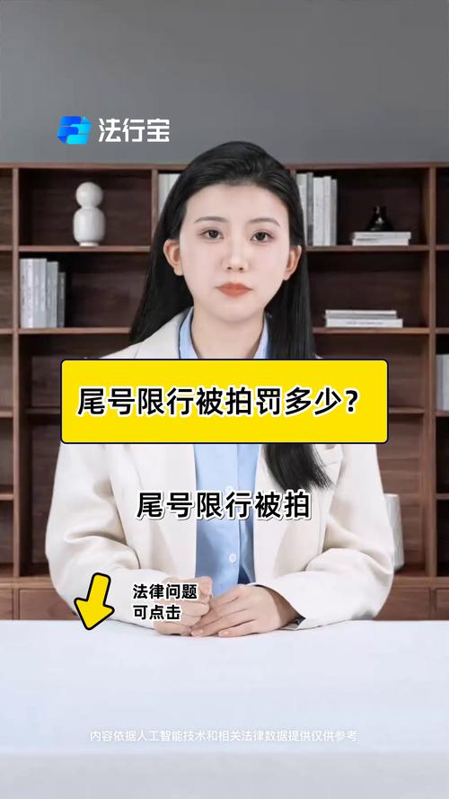 【限号被拍,限号被拍罚多少】-第6张图片 【限号被拍,限号被拍罚多少】-第6张图片