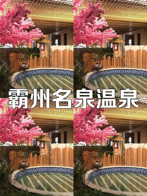 霸州最新限号,霸州最新限号规定-第3张图片 霸州最新限号,霸州最新限号规定-第3张图片