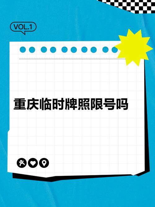 临时牌照限号-查牌照号查车主