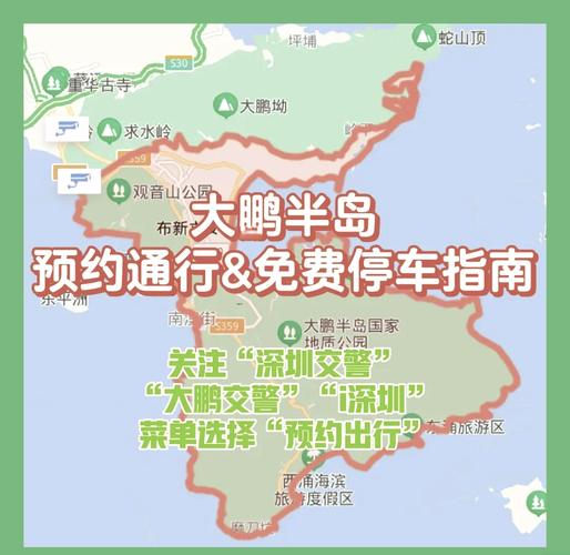 大鹏限行预约(大鹏限行预约时间怎么算)-第3张图片
