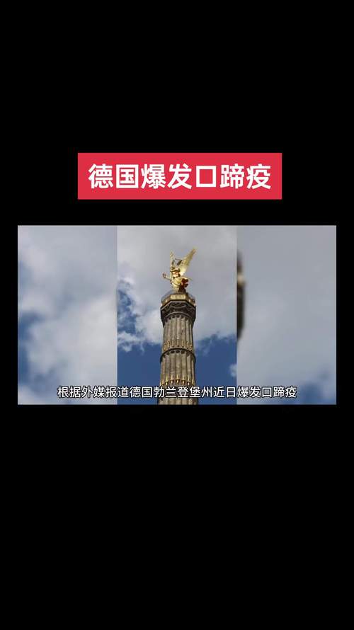 新冠疫情最新情况/新冠疫情最新情况最新消息-第1张图片