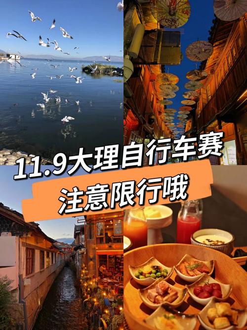 大理限号吗-大理限号吗?-第5张图片 大理限号吗-大理限号吗?-第5张图片