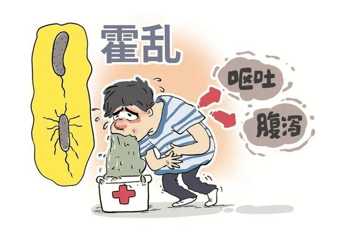 【霍乱疫情,霍乱疫情是什么病毒引起的】-第4张图片 【霍乱疫情,霍乱疫情是什么病毒引起的】-第4张图片