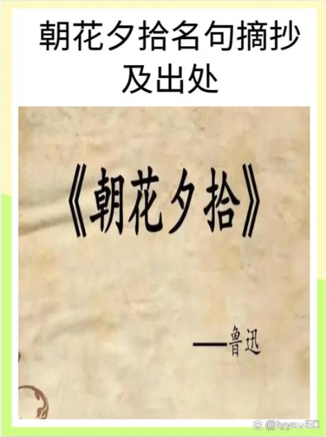 卫辉限号,卫辉市机动车限号-第7张图片 卫辉限号,卫辉市机动车限号-第7张图片