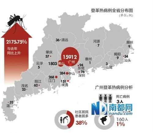 登革热疫情-登革热疫情防控-第8张图片